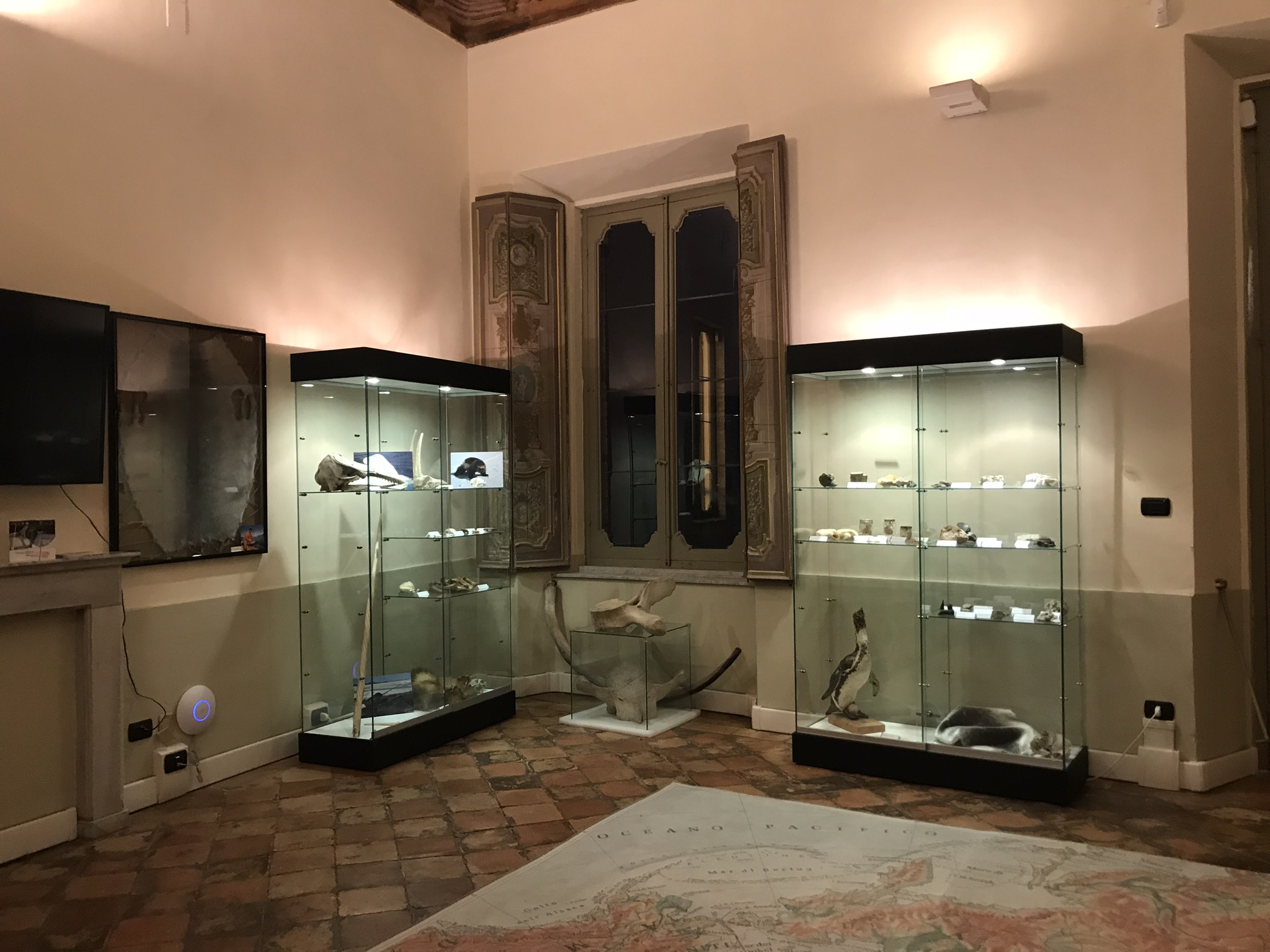 Musei scientifici di Palazzo Paccaroni, interno